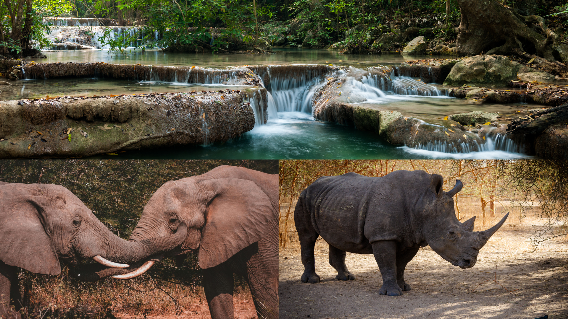 Amboseli national