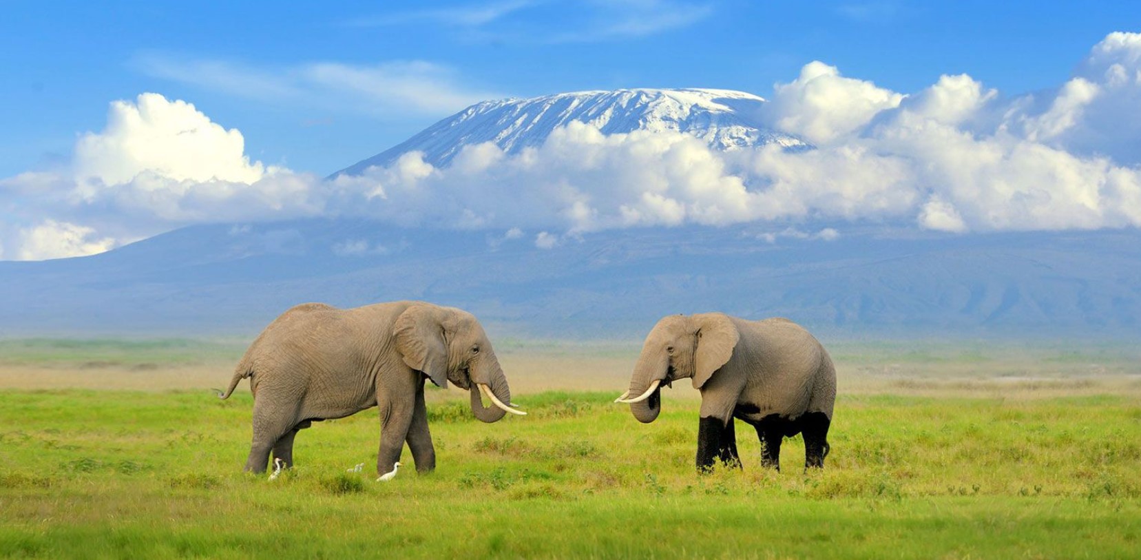 Amboseli pic