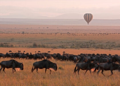 Maasai Mara Destination Ruganos
