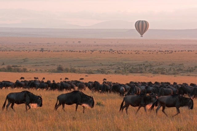 Maasai Mara Destination Ruganos
