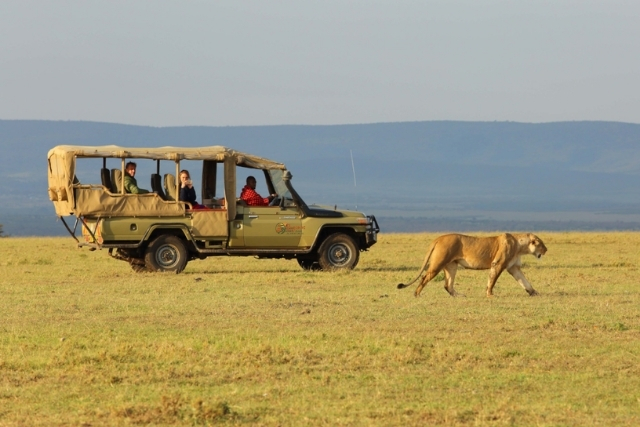 Maasai Mara Packages Ruganos Wild Adventures