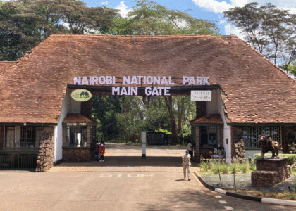 Affordable Nairobi National Park Safari Packages