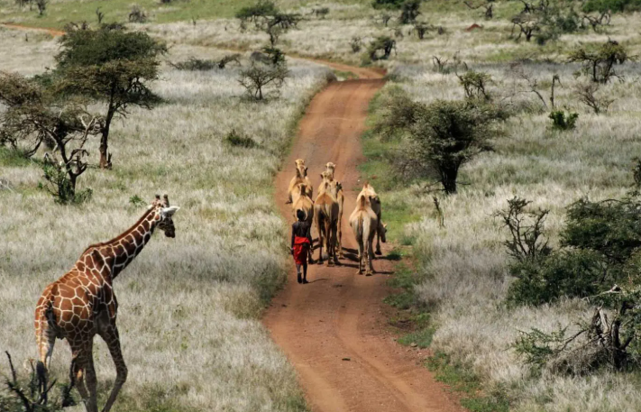 laikipia plateau 2