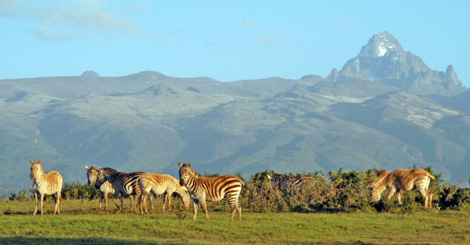 Mt Kenya