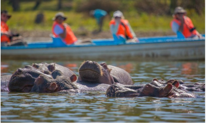 Lake Naivasha boat ride