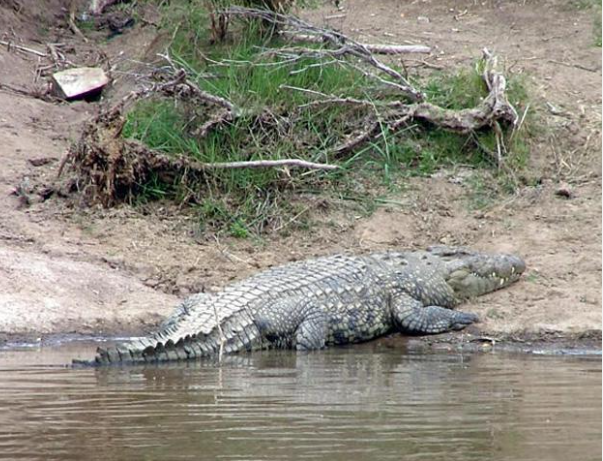 Lake turkana 3