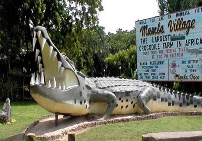 Mamba village