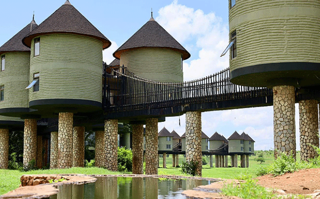 Salt lick
