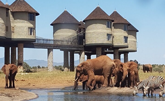 Salt lick