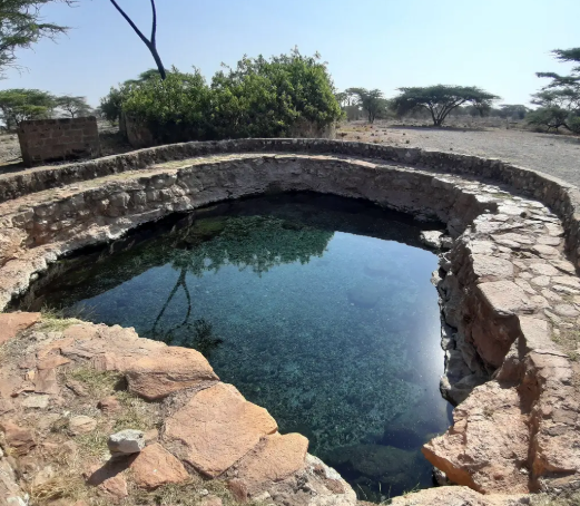 buffalo springs