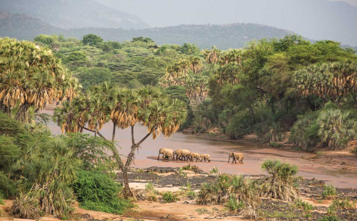 shaba national reserve