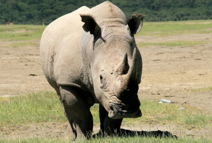 Meru National Park