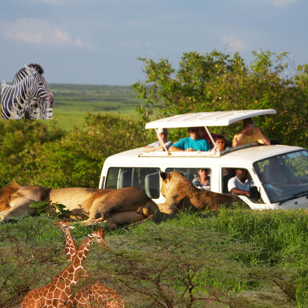 Most Affordable Safari Company In Kenya