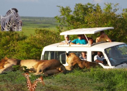Most Affordable Safari Company In Kenya