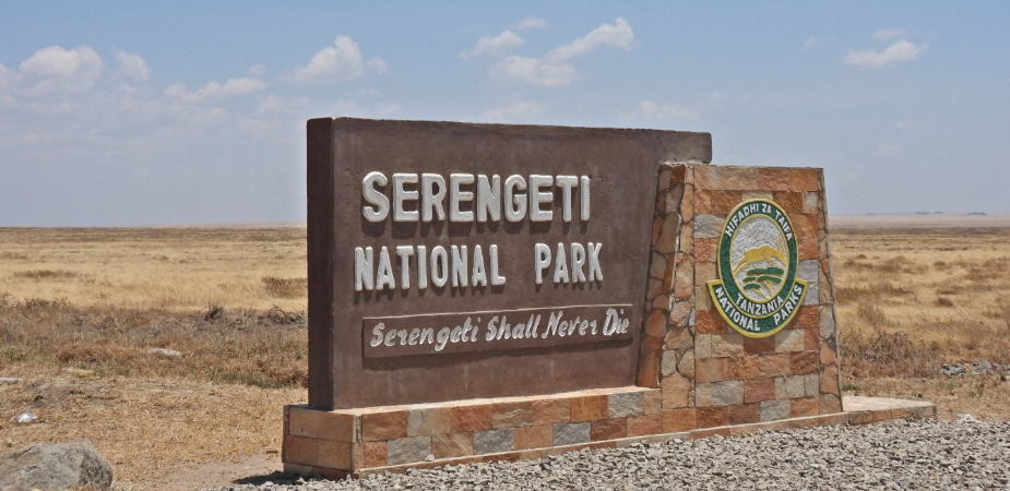 Serengeti Landmark