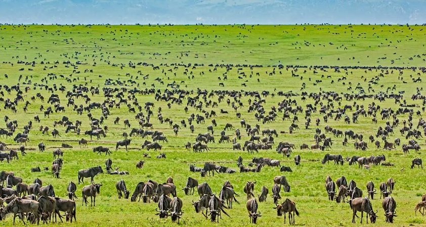 Serengeti National Park