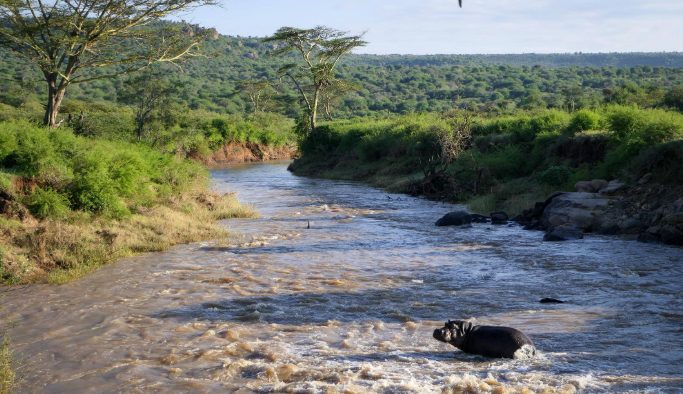 Suyian Conservancy Kenya Safaris