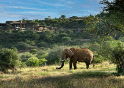 Suyian Conservancy Kenya Safaris