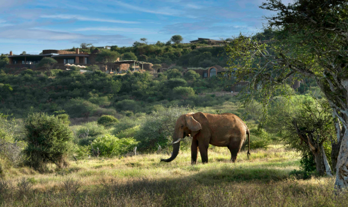 Suyian Conservancy Kenya Safaris