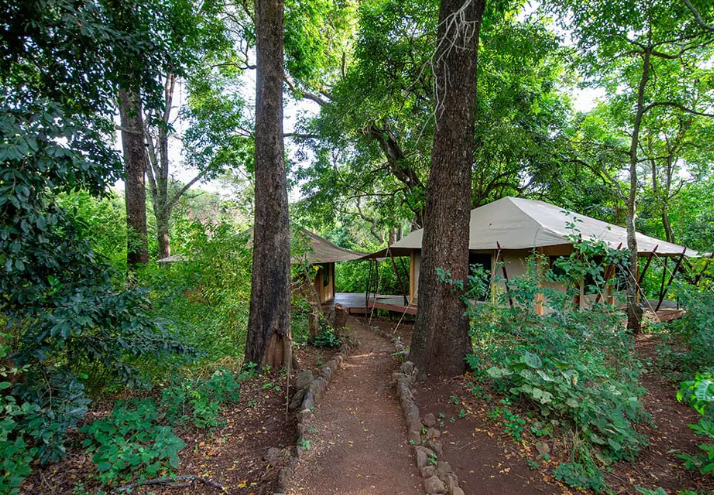 Meru National Park