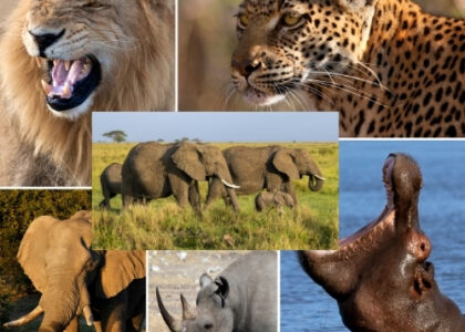 When is the Best Time to Visit Tsavo National Park for Red Elephants and Big Five Safaris